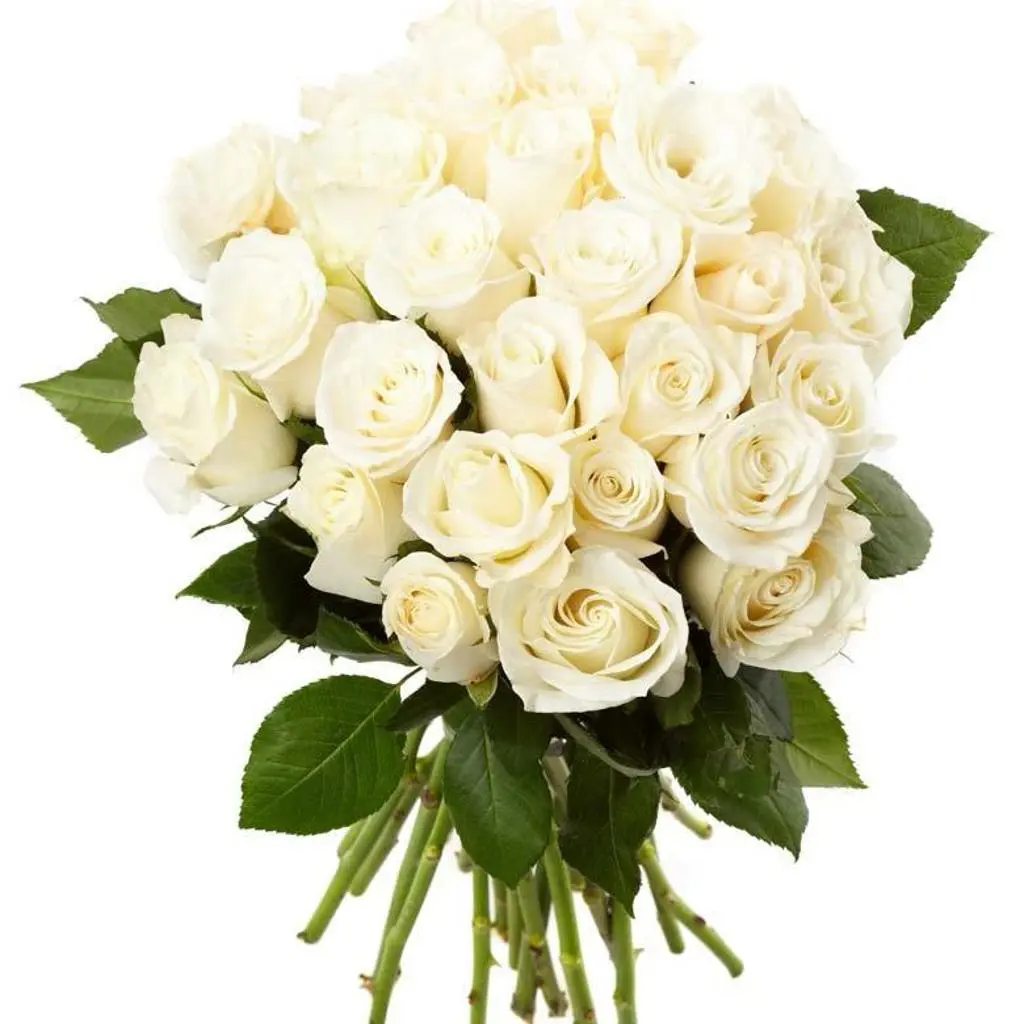 Loly Lody 8 Bouquet